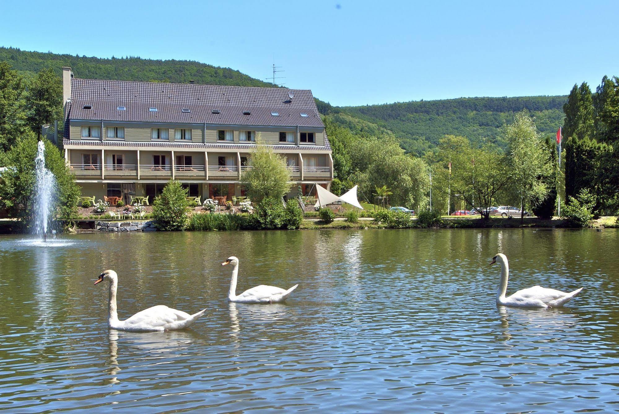 Hotel Les Rives Guebwiller Exterior photo